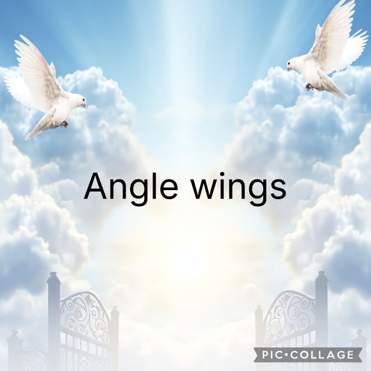 Memorial angel wings